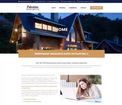 https://palestineins.com screenshot