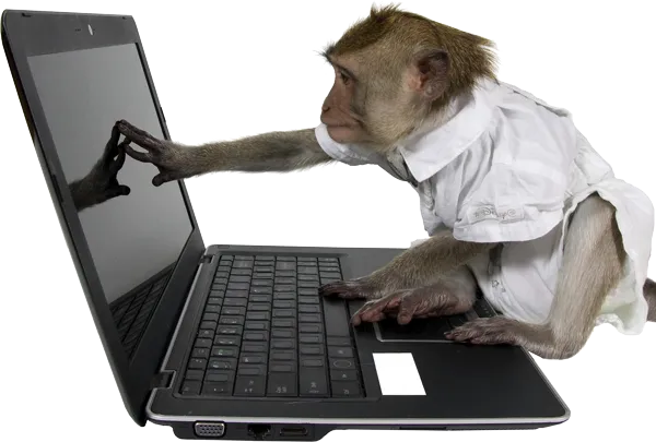 A monkey editing a CloudCarpenter website
